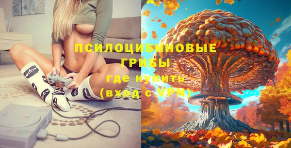 синтетический гашиш Алексин