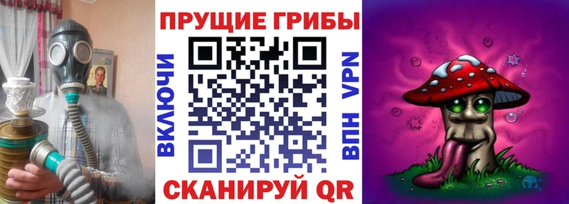 Псилоцибиновые грибы мухоморы  купить  сайты  Мамоново 